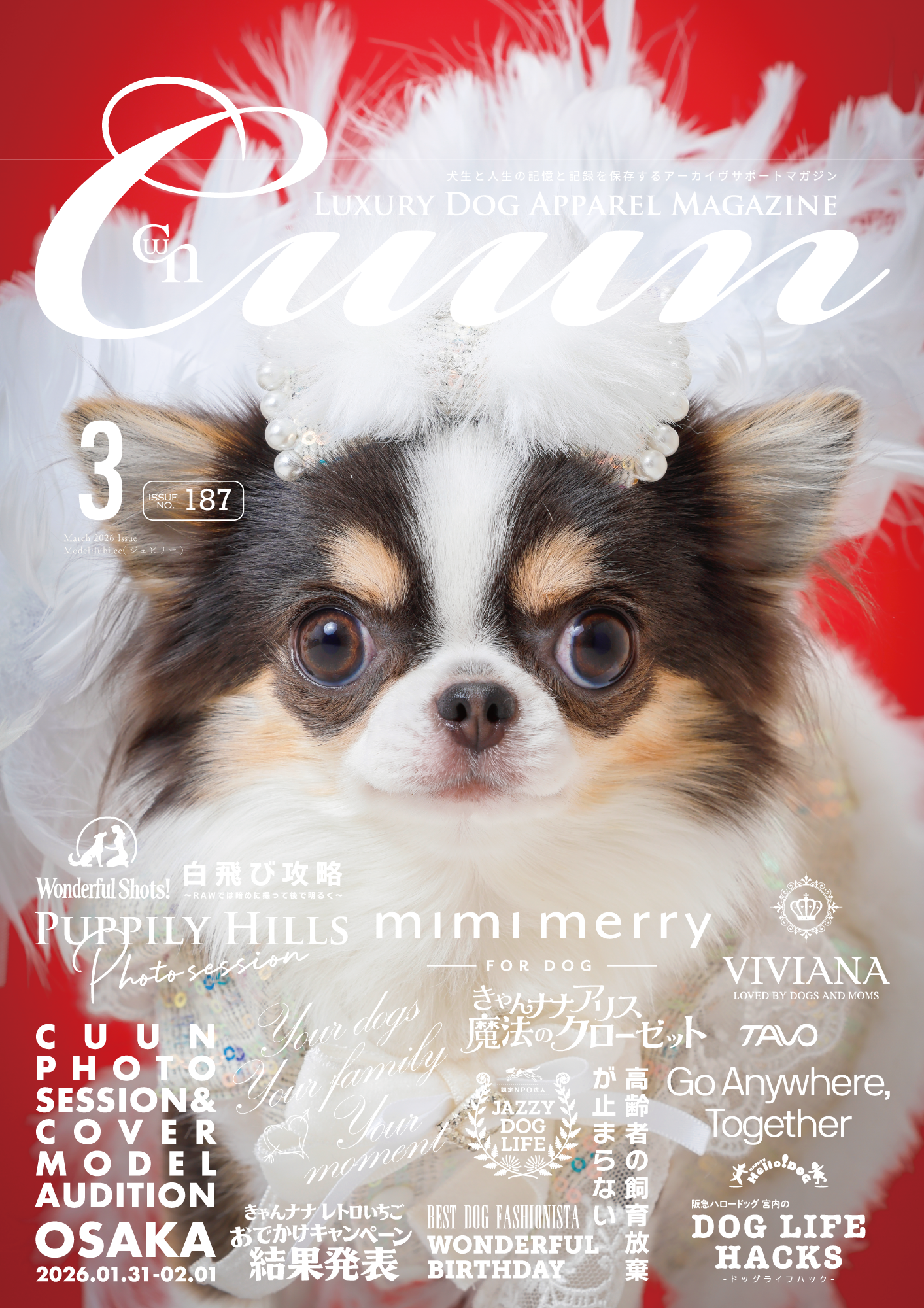 CUUN|3月10日号(2026)