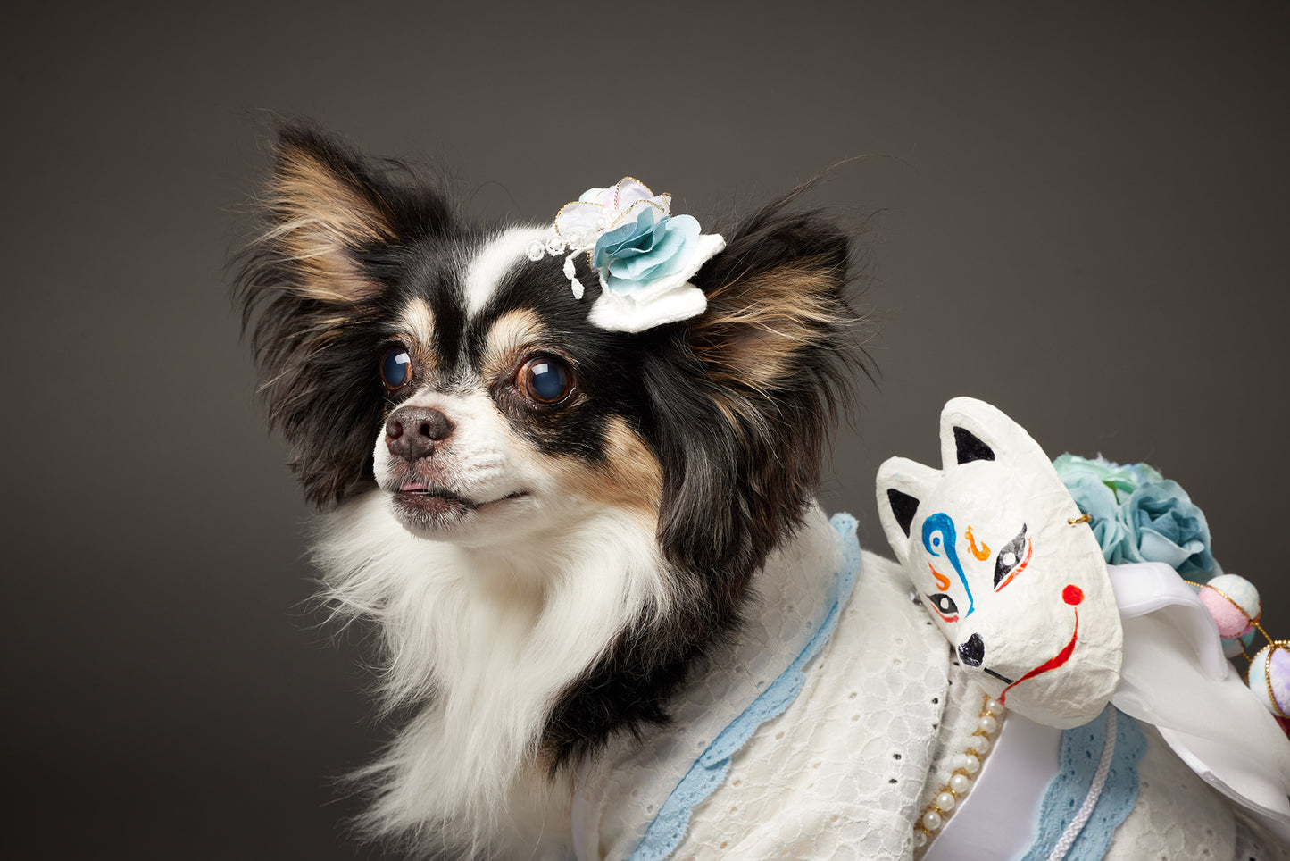 【10/23(木)~24日(金)開催】この一瞬が、永遠になる愛犬撮影会|東京・代官山 photo by tottoko