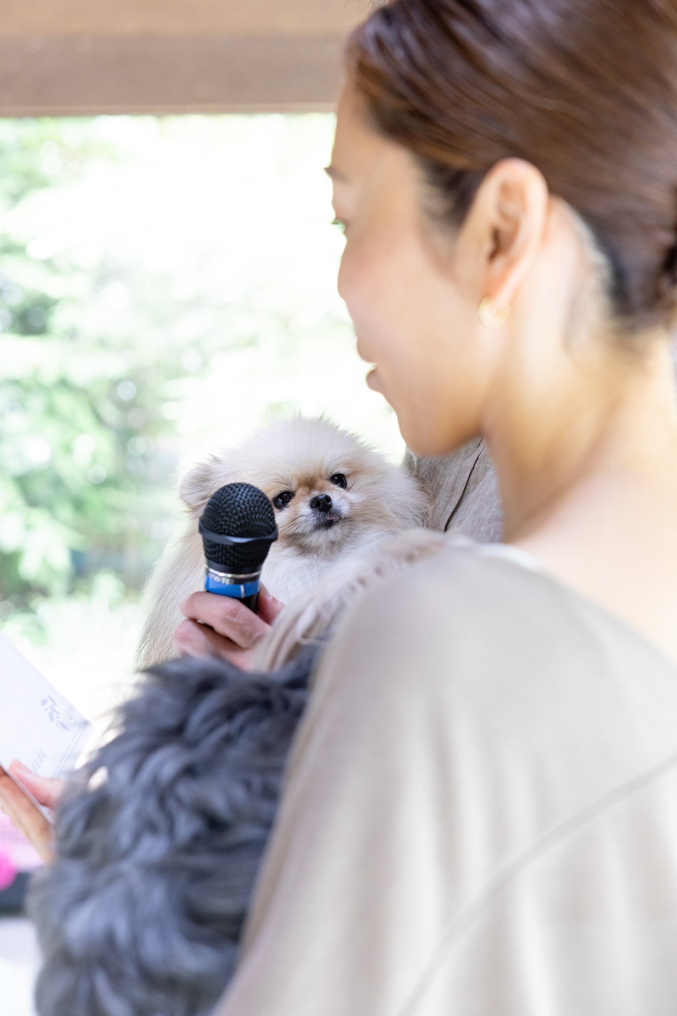 【2025年9月21日開催|愛知・岡崎】愛犬家族宣誓式|うちの子と“家族になる日”