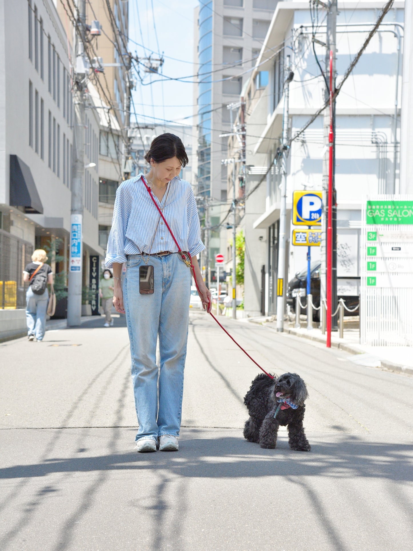 愛犬と仙台ストリートで撮影|URBAN DOG CULTUREフォトセッション【CUUN掲載特典付き】