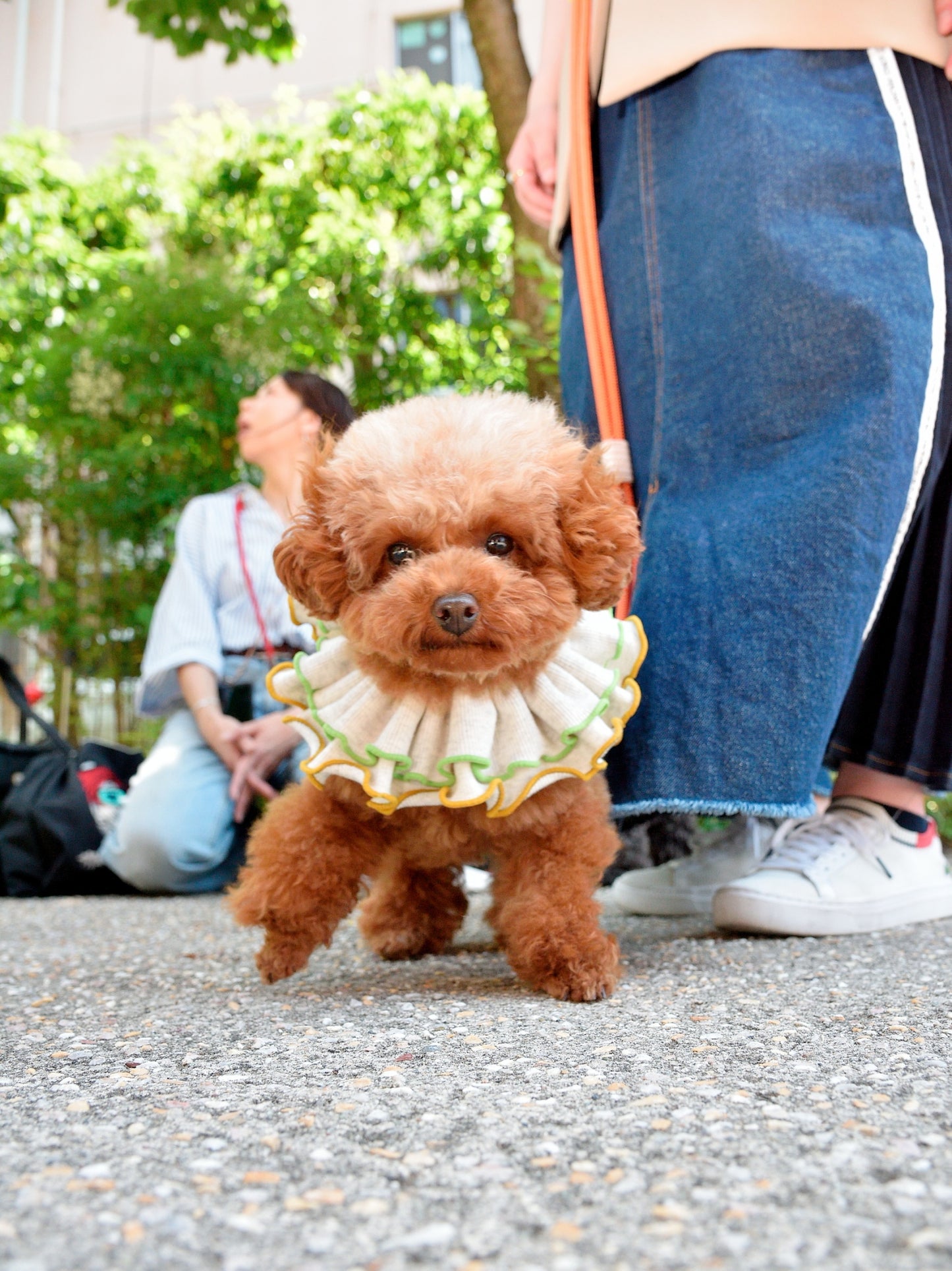 愛犬と仙台ストリートで撮影|URBAN DOG CULTUREフォトセッション【CUUN掲載特典付き】