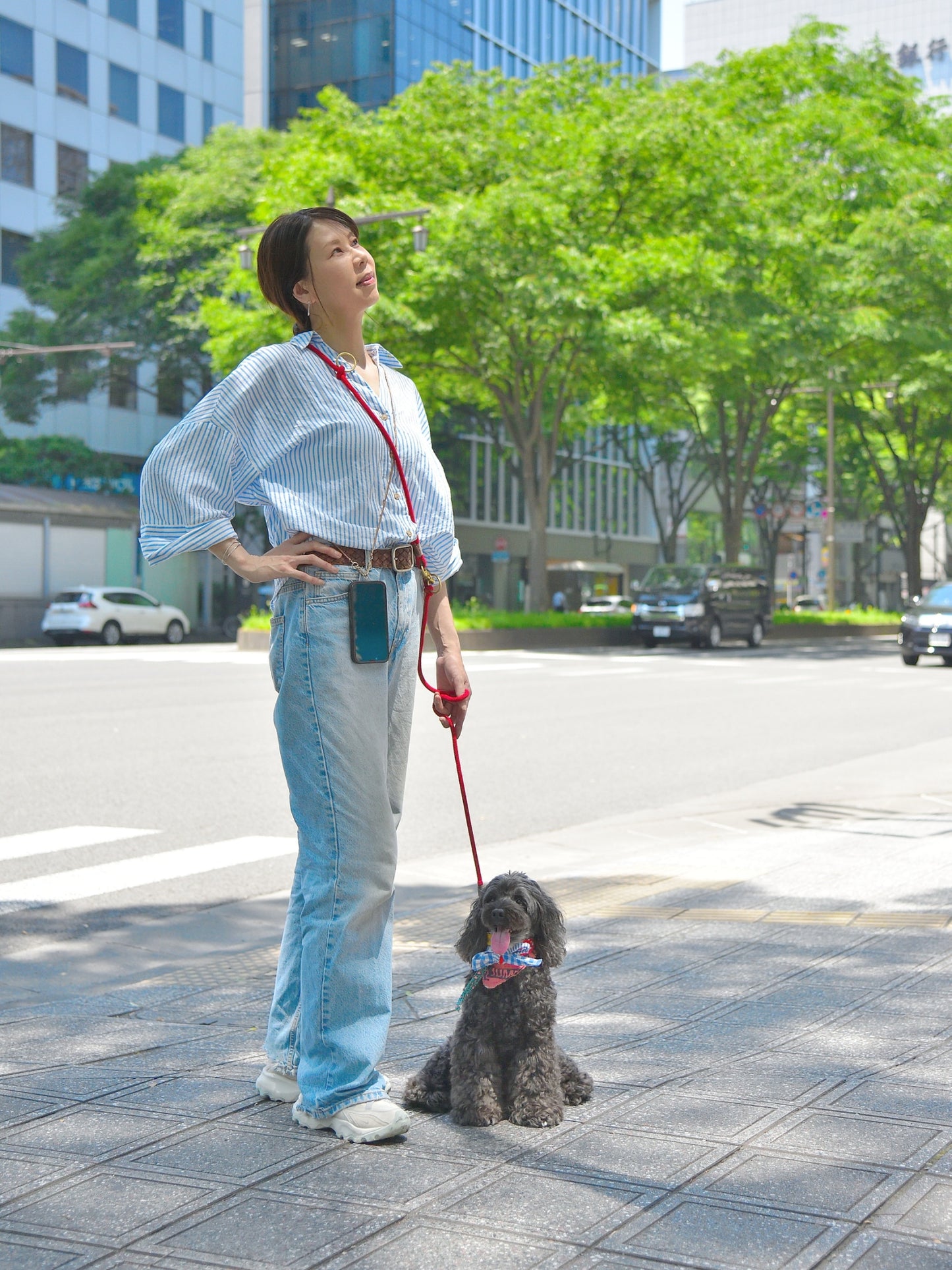 愛犬と仙台ストリートで撮影|URBAN DOG CULTUREフォトセッション【CUUN掲載特典付き】
