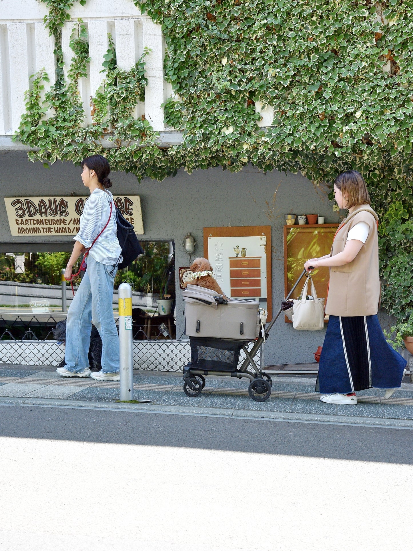 愛犬と仙台ストリートで撮影|URBAN DOG CULTUREフォトセッション【CUUN掲載特典付き】