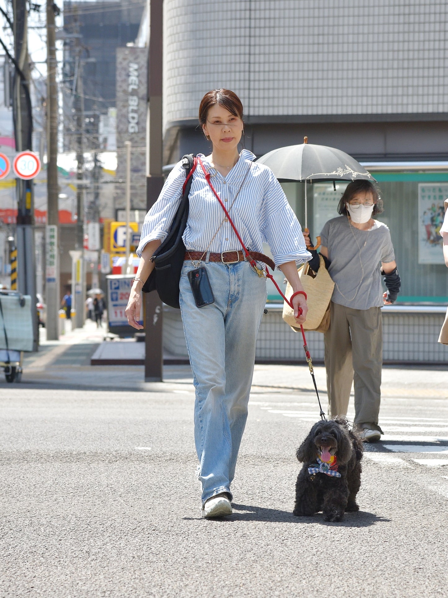 愛犬と仙台ストリートで撮影|URBAN DOG CULTUREフォトセッション【CUUN掲載特典付き】
