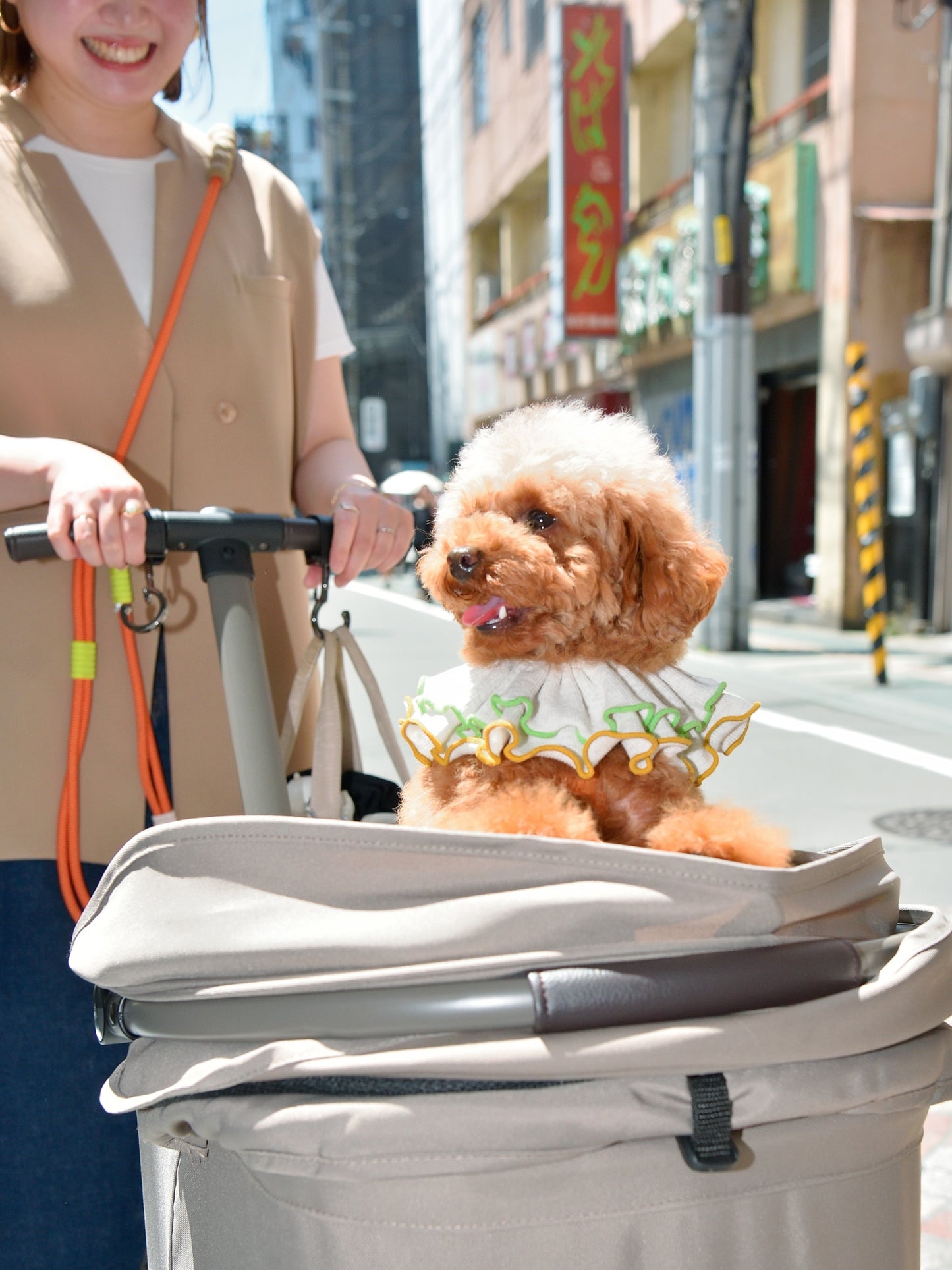 愛犬と仙台ストリートで撮影|URBAN DOG CULTUREフォトセッション【CUUN掲載特典付き】