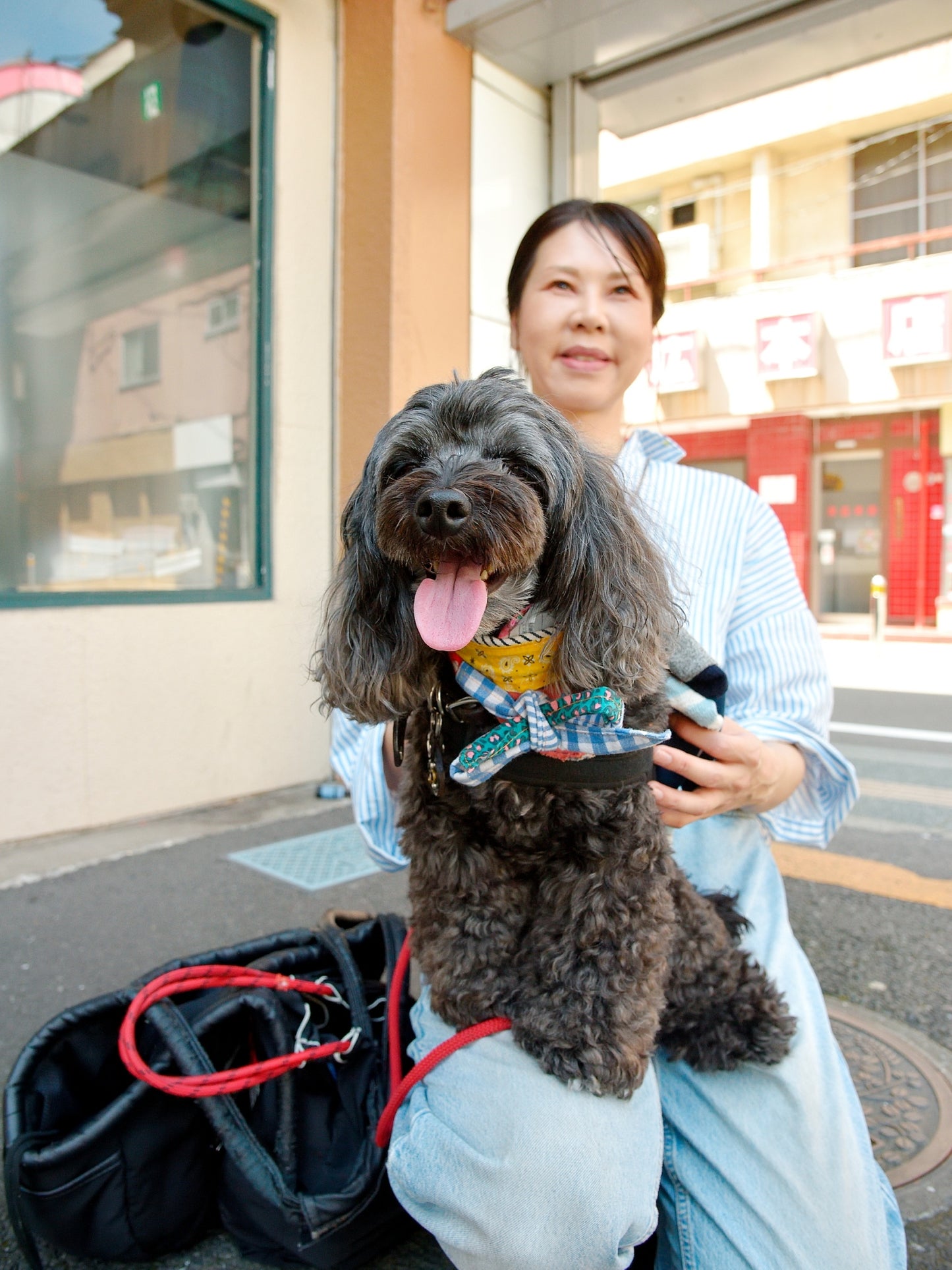 愛犬と仙台ストリートで撮影|URBAN DOG CULTUREフォトセッション【CUUN掲載特典付き】