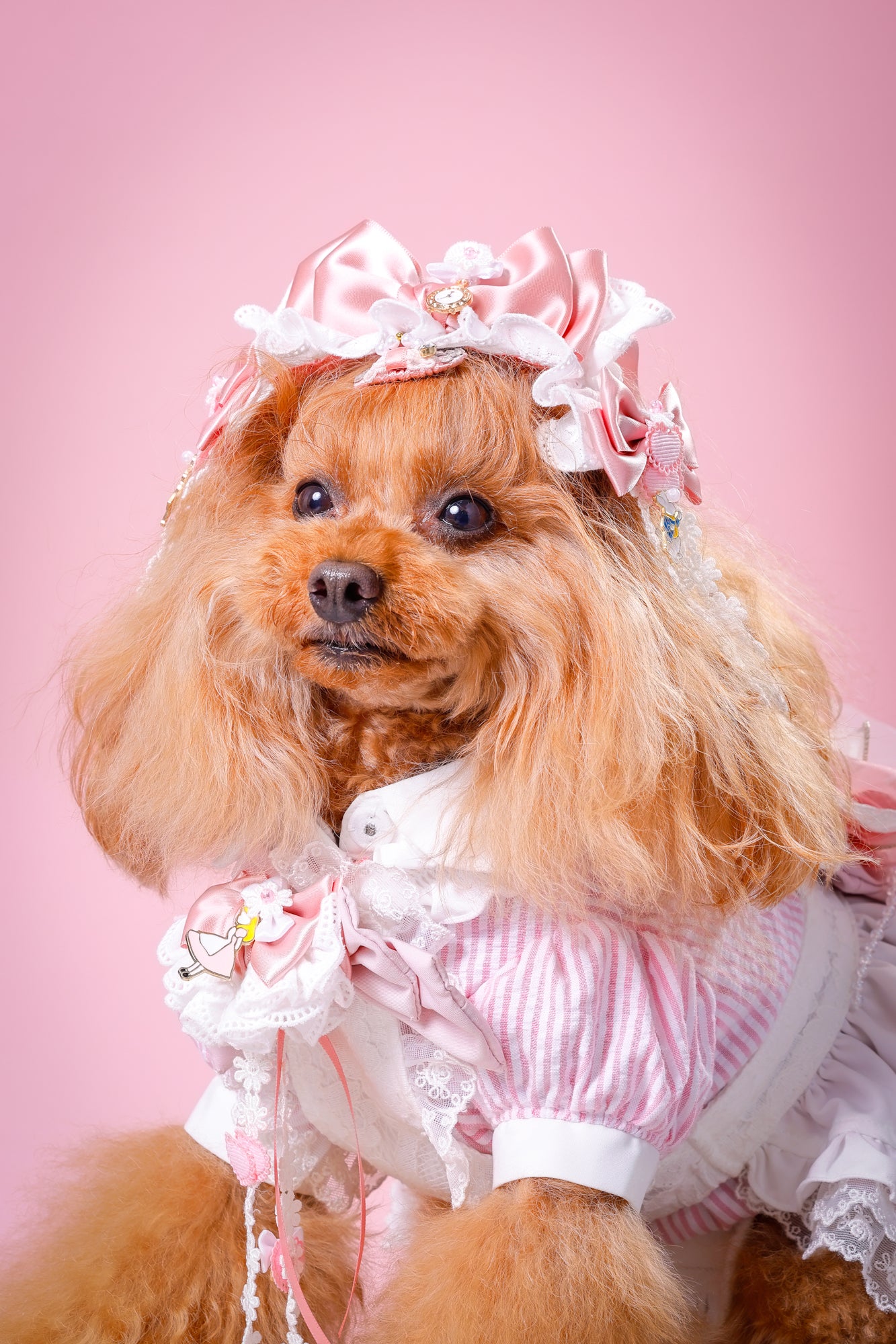 【大阪府大阪市】CUUN撮影会&表紙モデルオーディション|プロカメラマン撮影・雑誌掲載チャンス【2026年1月31日(土)~2月1日(日)開催】