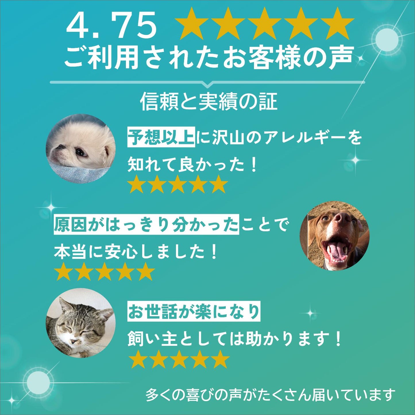 犬猫用被毛不耐性検査|アレミッケ