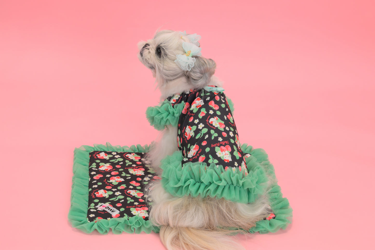 【送料無料】Otty20周年記念|Otty × HELLO KITTY × CanNana カフェマット|公式限定・CUUN掲載特典付き