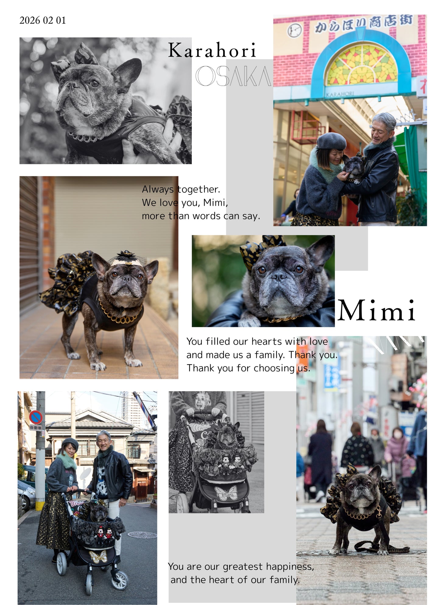 【愛犬と遠足】富士山ロケーションフォト|額装ポスター・キャンバスプリント