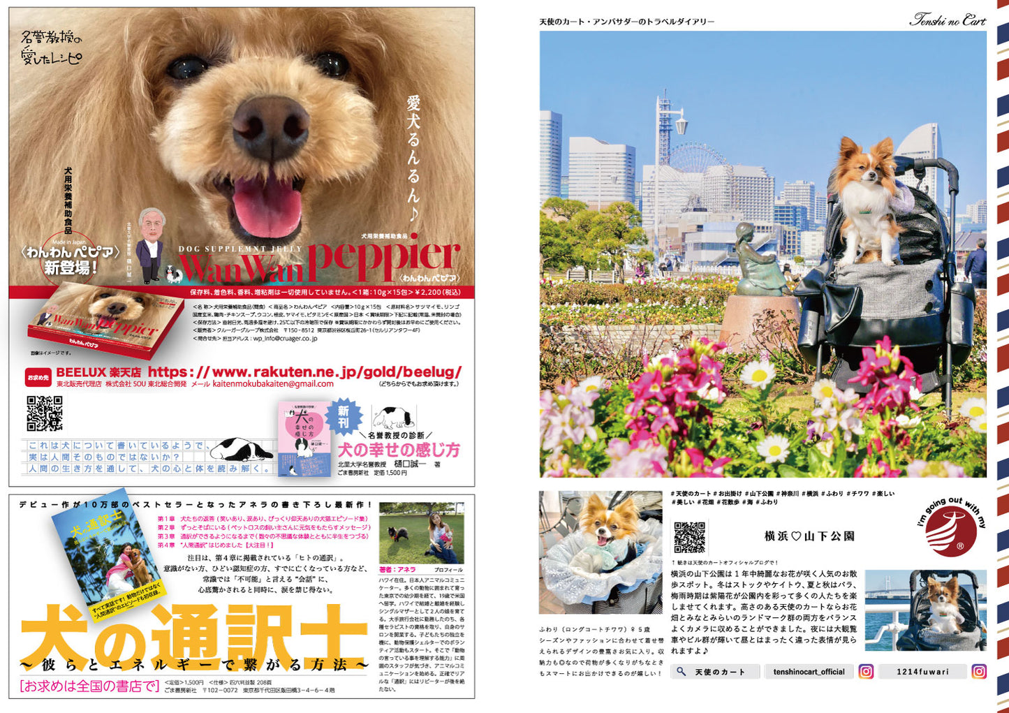 CUUN|2月10日号(2022)|全頁公開