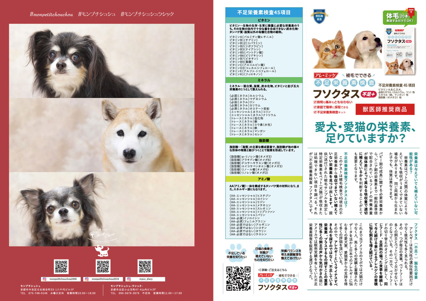 CUUN|1月10日号(2022)|全頁公開