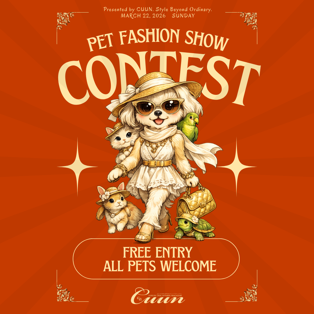 イベント／レッスン