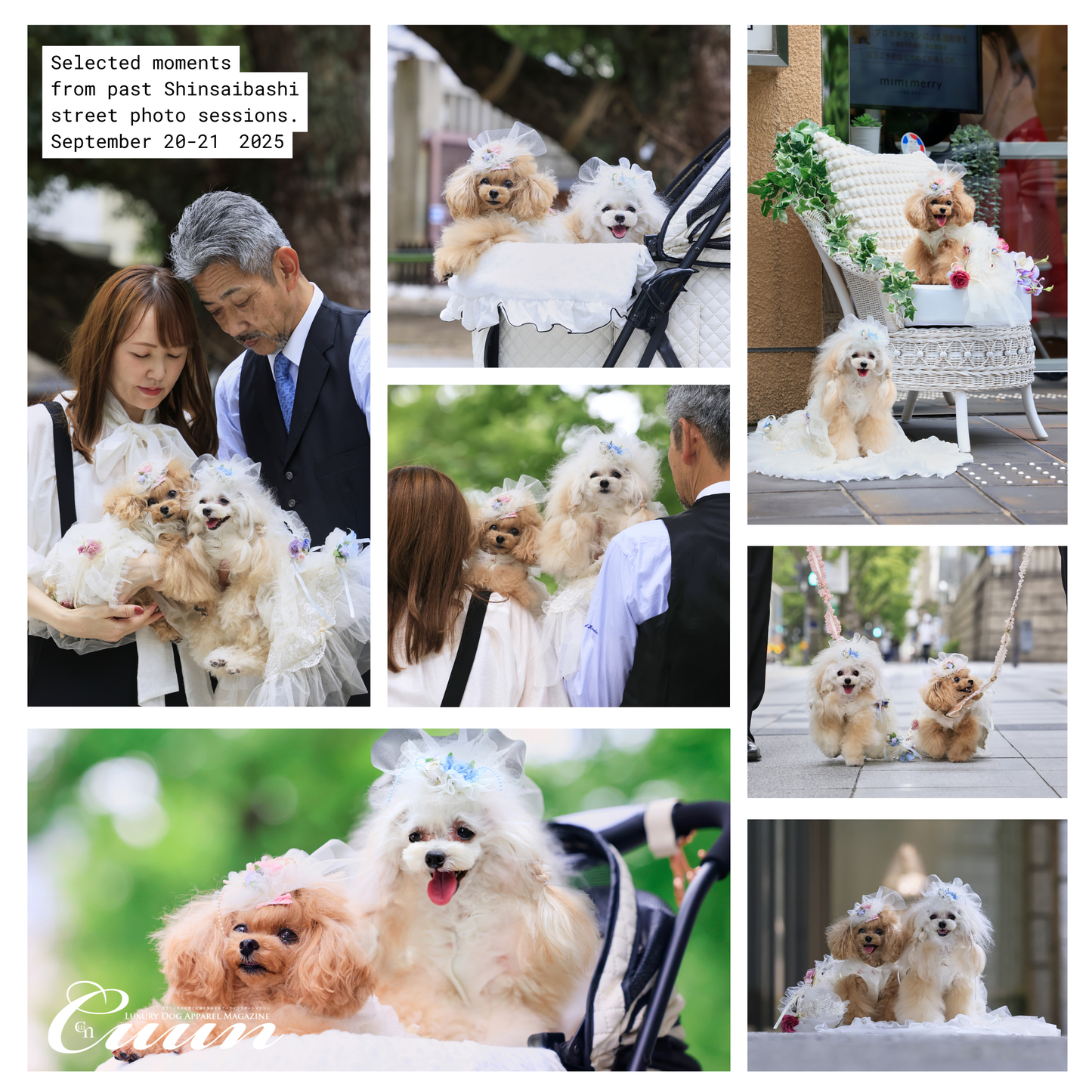 【2026年1月31日–2月1日】ザ・お写ん歩。大阪・空堀商店街編｜愛犬と歩くCUUNフォトセッション