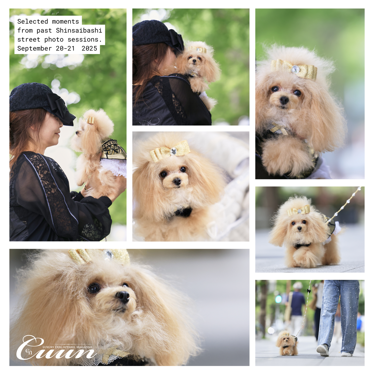 【2026年1月31日–2月1日】ザ・お写ん歩。大阪・空堀商店街編｜愛犬と歩くCUUNフォトセッション