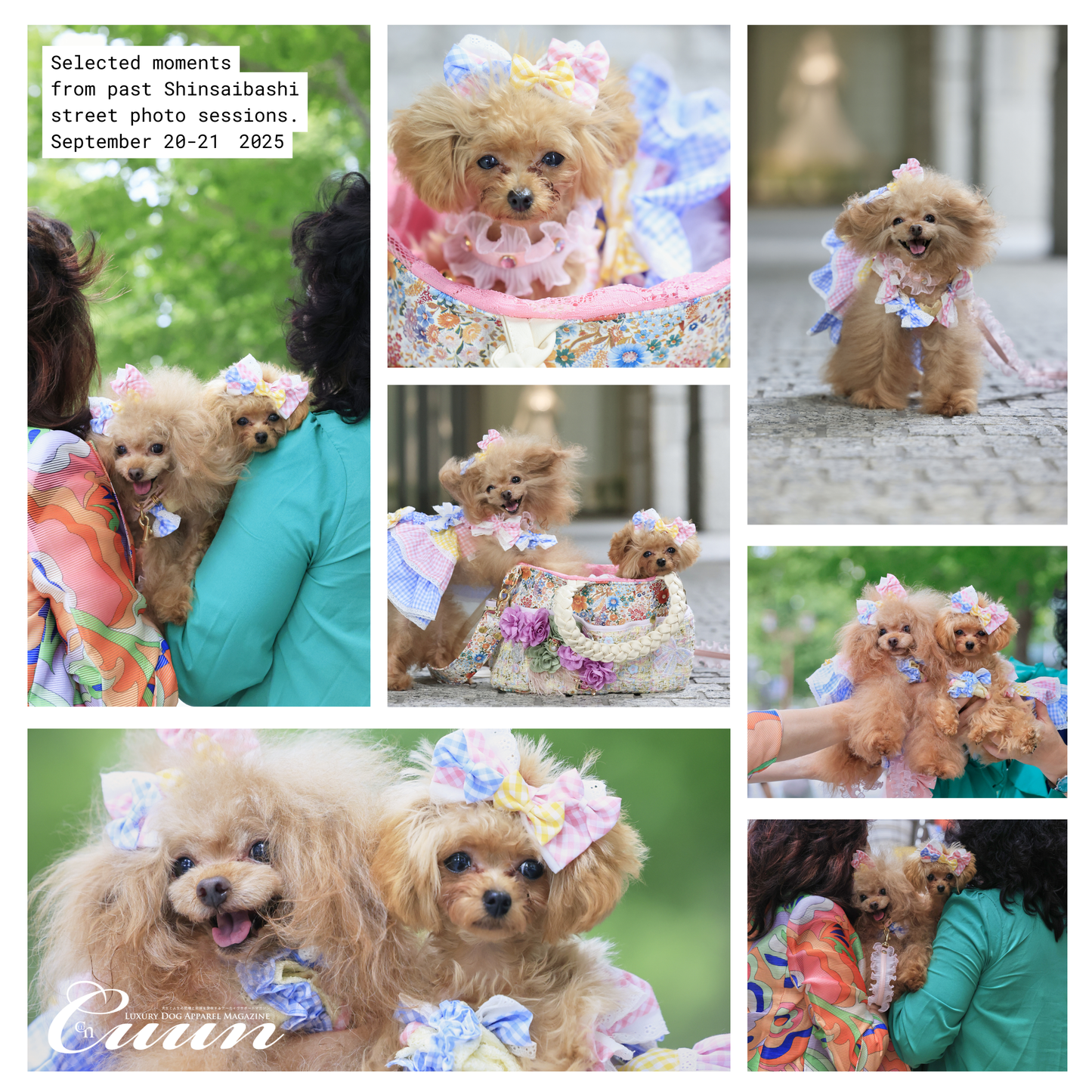 【2026年1月31日–2月1日】ザ・お写ん歩。大阪・空堀商店街編｜愛犬と歩くCUUNフォトセッション