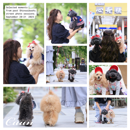 【2026年1月31日–2月1日】ザ・お写ん歩。大阪・空堀商店街編｜愛犬と歩くCUUNフォトセッション