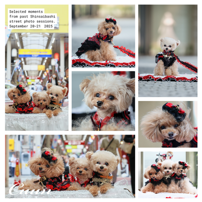 【2026年1月31日–2月1日】ザ・お写ん歩。大阪・空堀商店街編｜愛犬と歩くCUUNフォトセッション
