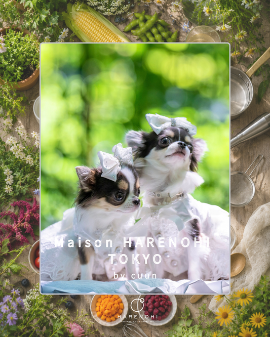 【東京都中目黒】8/8（土）～8/9（日）開催｜Maison HARENOHI TOKYO by CUUN｜愛犬のためのLIVE KITCHEN