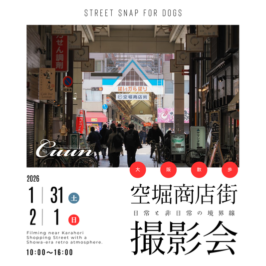 【2026年1月31日–2月1日】ザ・お写ん歩。大阪・空堀商店街編｜愛犬と歩くCUUNフォトセッション