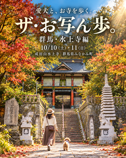 【群馬県みなかみ町｜10月10日・11日開催】ザ・お写ん歩。群馬・水上寺編｜愛犬ロケーション撮影会