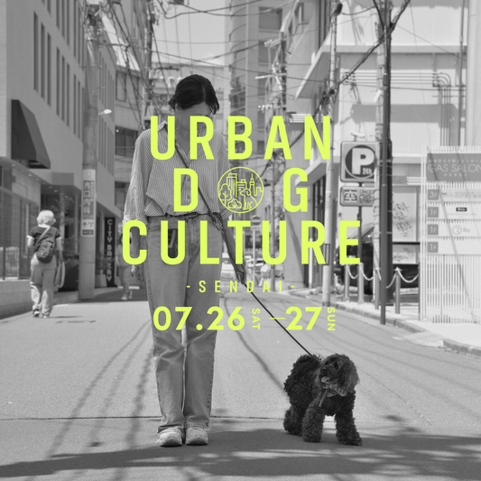 愛犬と仙台ストリートで撮影｜URBAN DOG CULTUREフォトセッション【CUUN掲載特典付き】