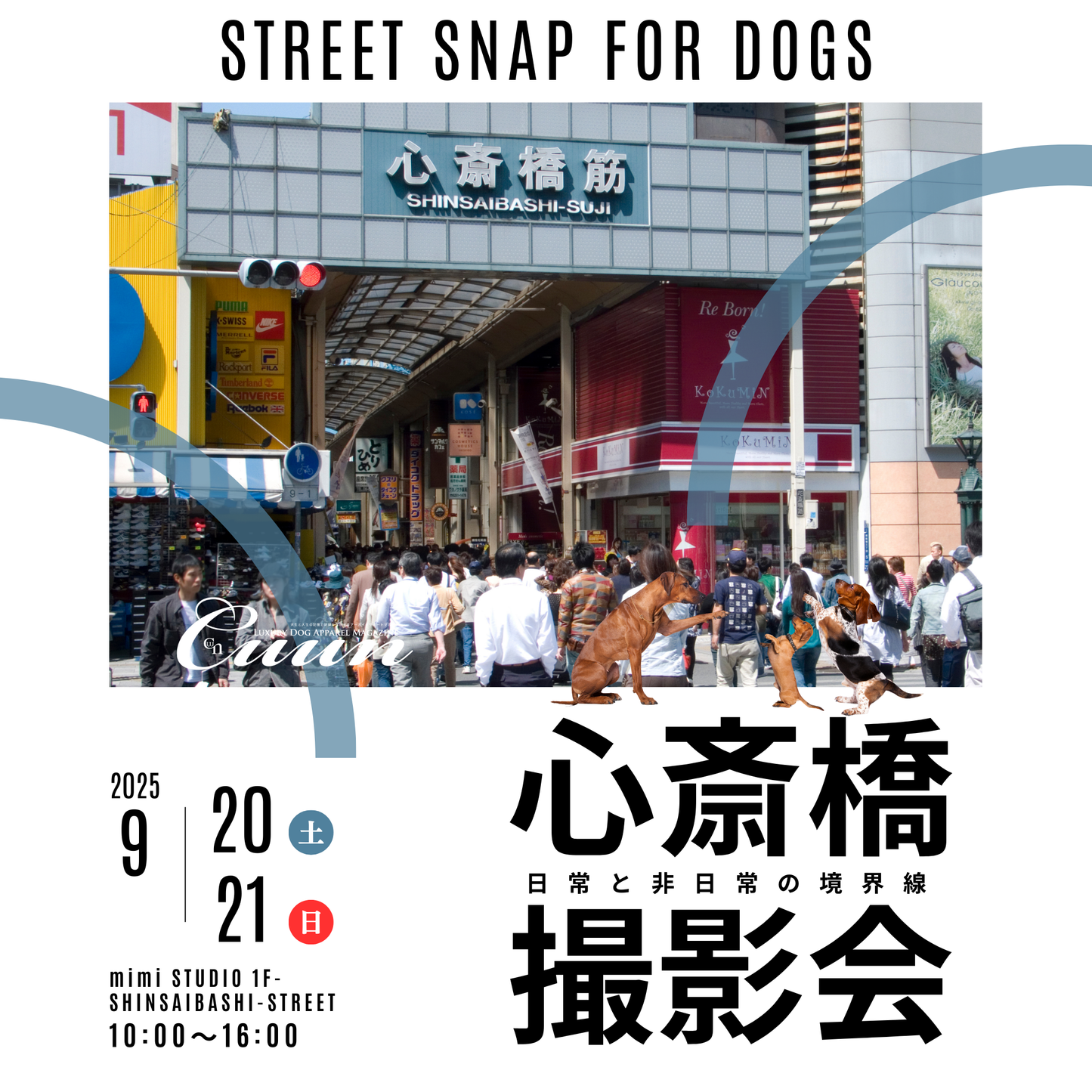 【9/20（土）～21日（日）開催】愛犬と心斎橋ストリートで撮影｜フォトセッション【CUUN掲載特典付き】