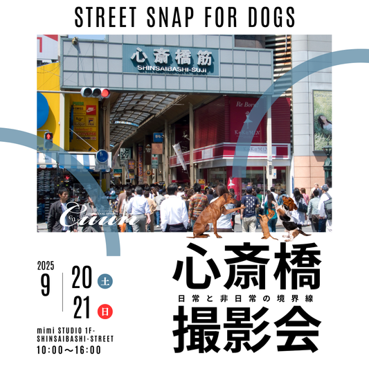 【9/20（土）～21日（日）開催】愛犬と心斎橋ストリートで撮影｜フォトセッション【CUUN掲載特典付き】