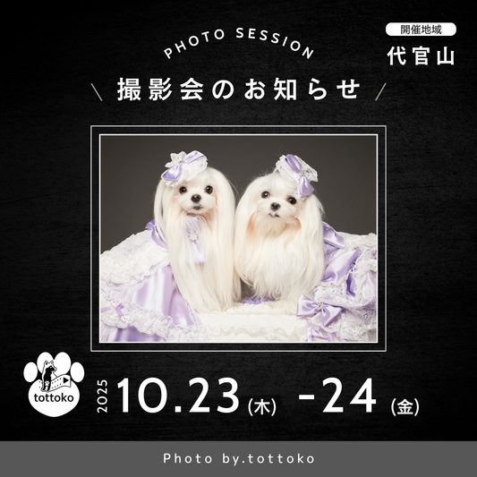 【10/23（木）～24日（金）開催】この一瞬が、永遠になる愛犬撮影会｜東京・代官山 photo by tottoko