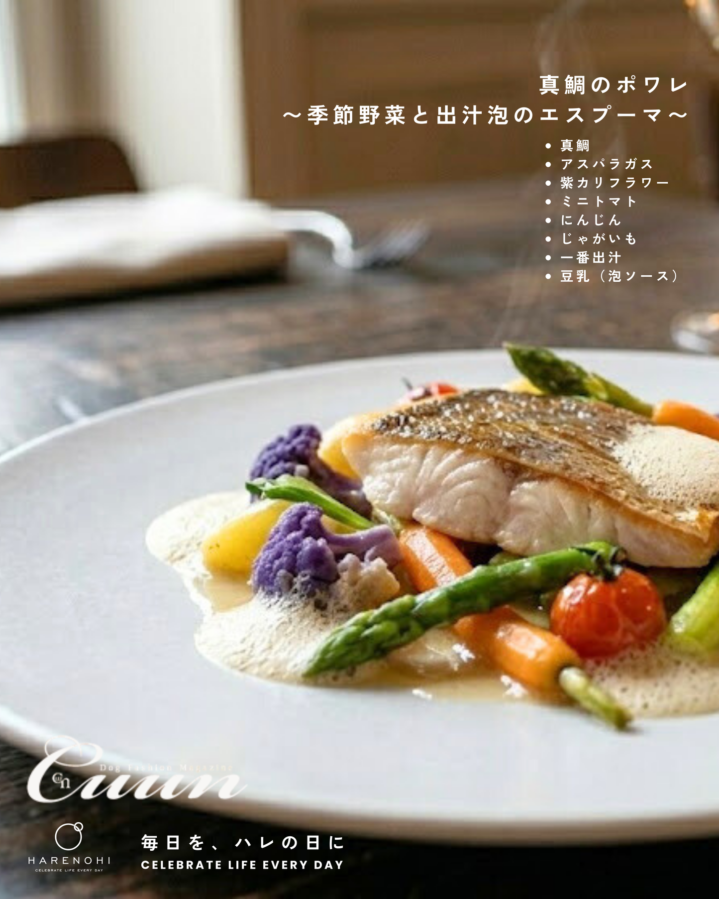 4/25（土）～26日（日）開催｜KOUICHI WATABE フォトセッション＆Maison HARENOHI TOKYO supported by CUUN｜東京