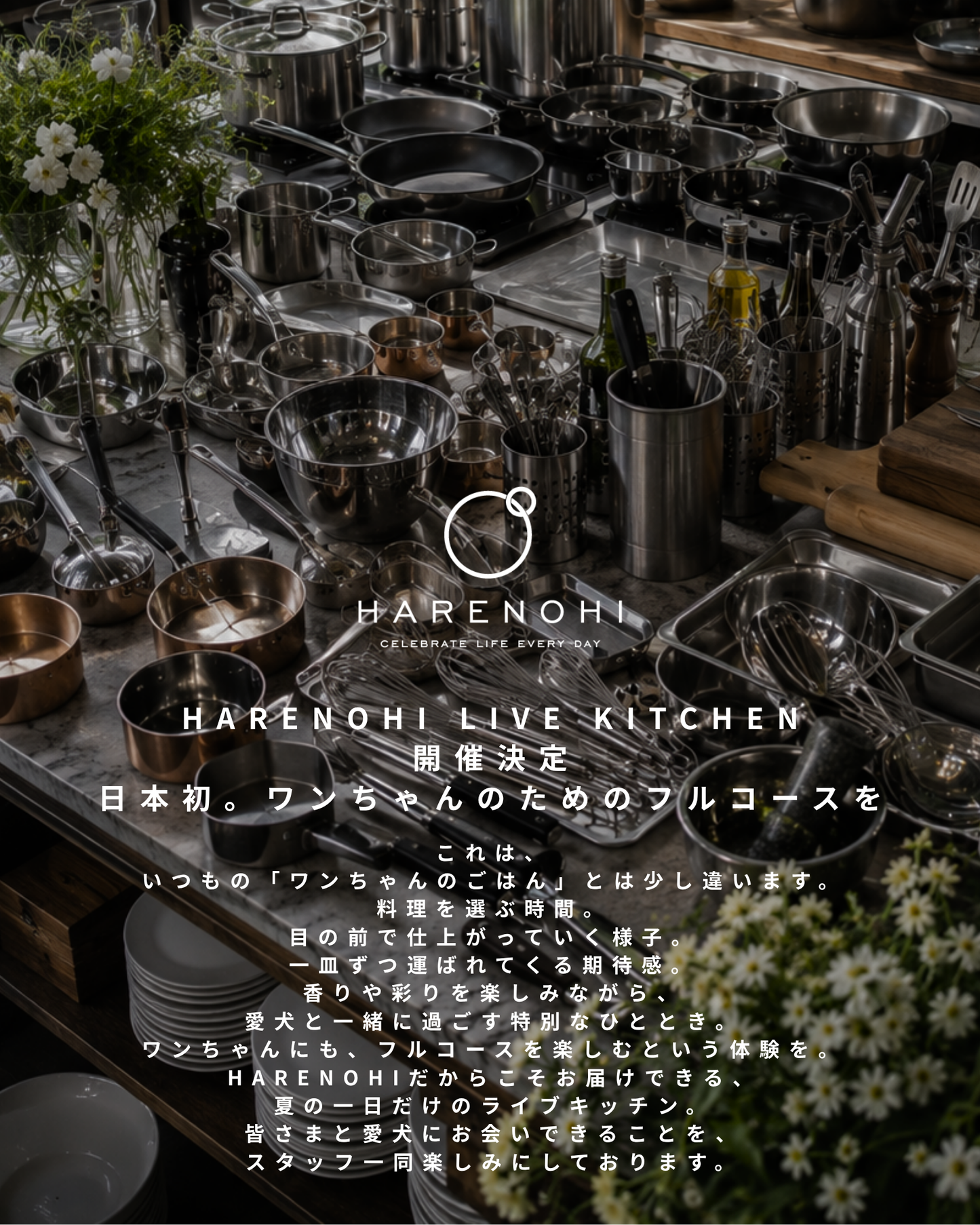 【東京都中目黒】8/8（土）～8/9（日）開催｜Maison HARENOHI TOKYO by CUUN｜愛犬のためのLIVE KITCHEN