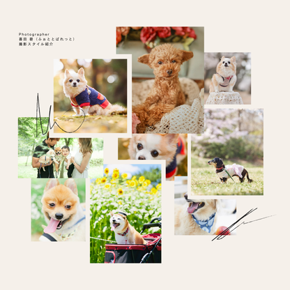 【9/20（土）～21日（日）開催】愛犬と心斎橋ストリートで撮影｜フォトセッション【CUUN掲載特典付き】