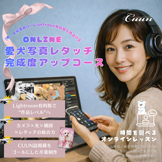 2月開講｜【中・上級者向け】Lightroom有料版で仕上げる｜愛犬写真レタッチ 完成度アップコース｜CUUNオンラインフォトレッスン第8期生