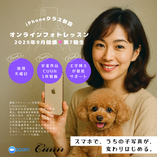 9月開講！iPhoneクラス新設｜CUUNオンラインフォトレッスン第7期生募集開始！愛犬を100倍かわいく撮る方法【iPhoneクラス】