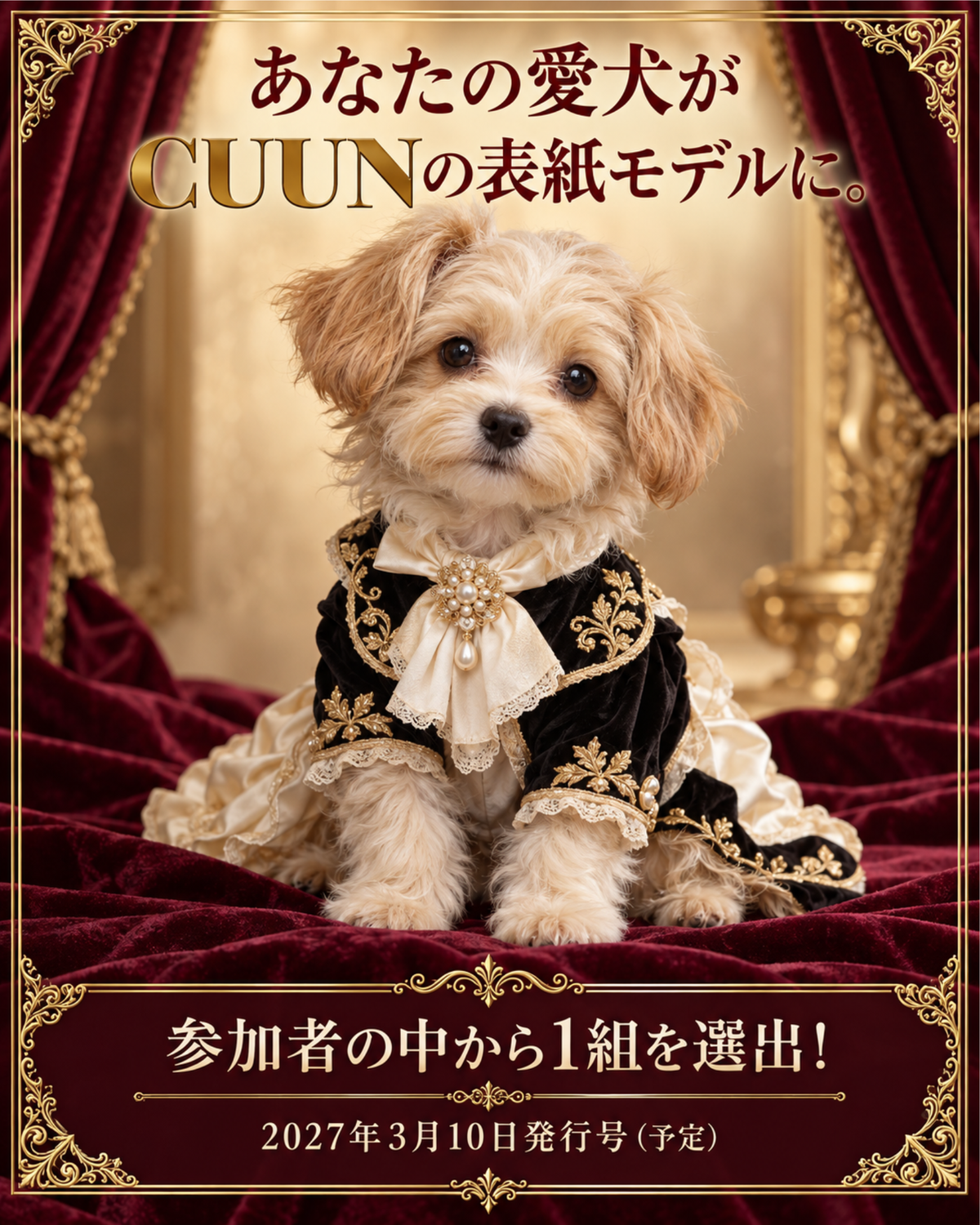 【大阪市中央区】CUUN撮影会＆表紙モデルオーディション｜プロカメラマン撮影＆雑誌掲載【2027年1月30日（土）～1月31日（日）】