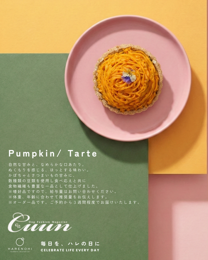 4/25（土）～26日（日）開催｜KOUICHI WATABE フォトセッション＆Maison HARENOHI TOKYO supported by CUUN｜東京