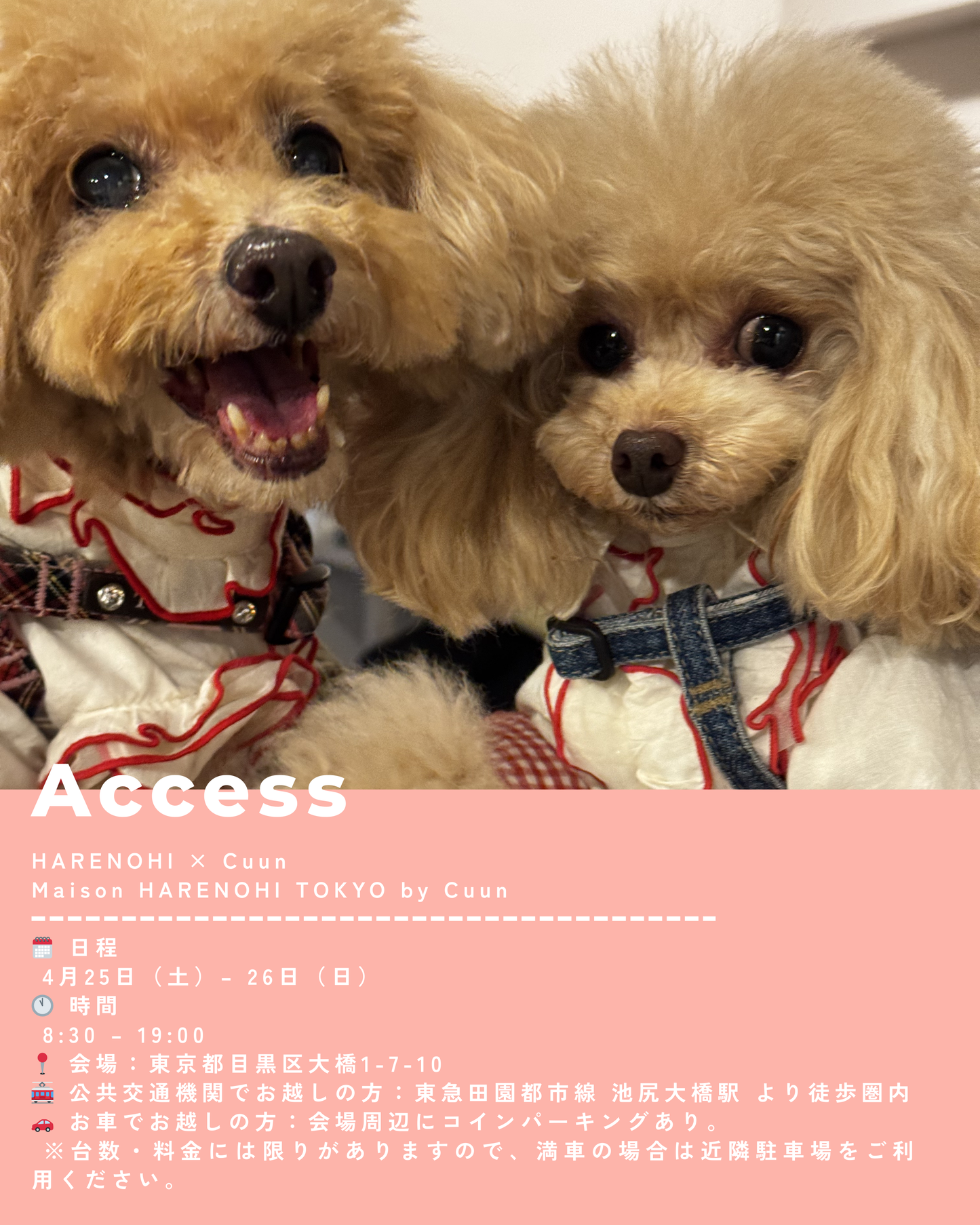 4/25（土）～26日（日）開催｜KOUICHI WATABE フォトセッション＆Maison HARENOHI TOKYO supported by CUUN｜東京