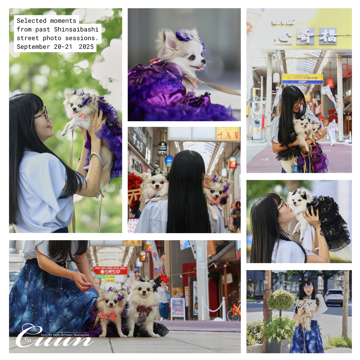 【2026年1月31日–2月1日】ザ・お写ん歩。大阪・空堀商店街編｜愛犬と歩くCUUNフォトセッション