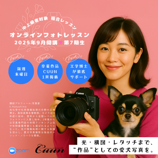 9月開講！中上級者対象 総合レッスン｜CUUNオンラインフォトレッスン第7期生募集開始！愛犬を100倍かわいく撮る方法【アドバンスクラス】