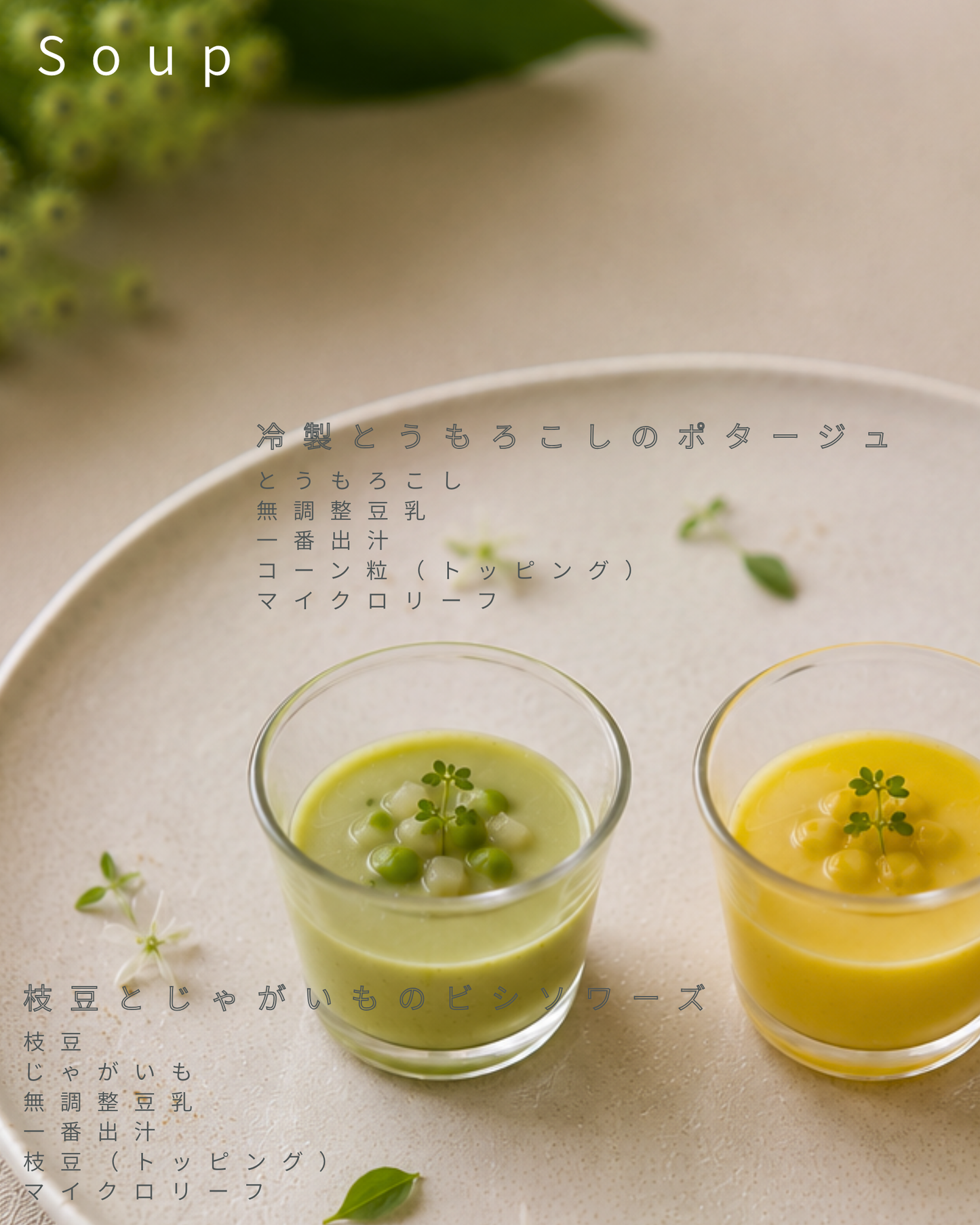 【東京都中目黒】8/8（土）～8/9（日）開催｜Maison HARENOHI TOKYO by CUUN｜愛犬のためのLIVE KITCHEN