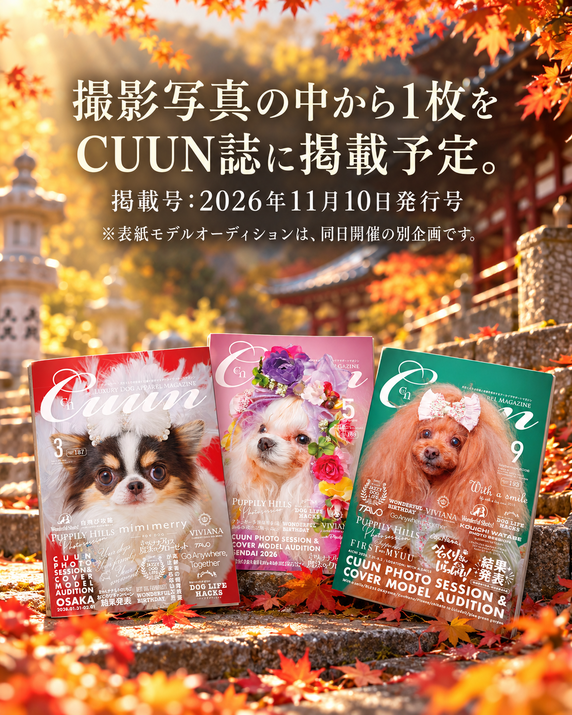 【群馬県みなかみ町｜10月10日・11日開催】ザ・お写ん歩。群馬・水上寺編｜愛犬ロケーション撮影会