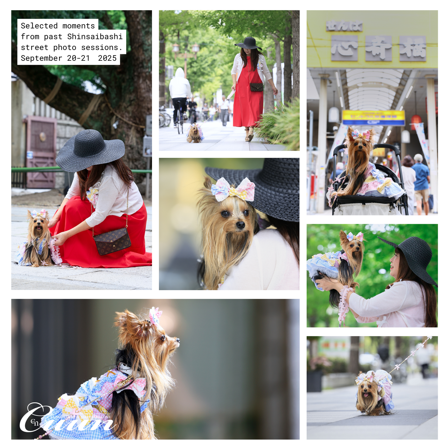 【2026年1月31日–2月1日】ザ・お写ん歩。大阪・空堀商店街編｜愛犬と歩くCUUNフォトセッション