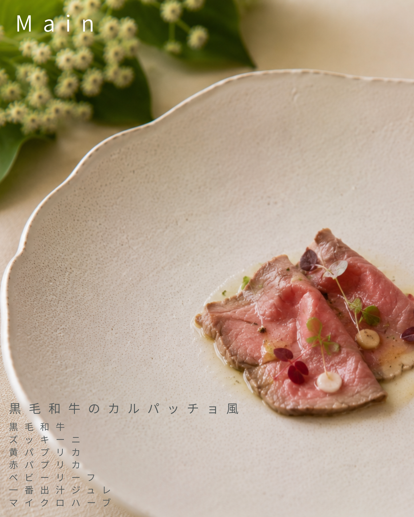 【東京都中目黒】8/8（土）～8/9（日）開催｜Maison HARENOHI TOKYO by CUUN｜愛犬のためのLIVE KITCHEN