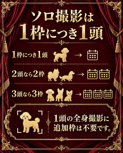 【大阪市中央区】CUUN撮影会＆表紙モデルオーディション｜プロカメラマン撮影＆雑誌掲載【2027年1月30日（土）～1月31日（日）】