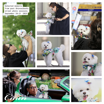 【2026年1月31日–2月1日】ザ・お写ん歩。大阪・空堀商店街編｜愛犬と歩くCUUNフォトセッション