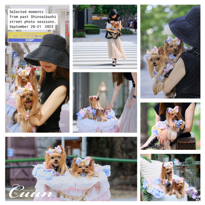 【2026年1月31日–2月1日】ザ・お写ん歩。大阪・空堀商店街編｜愛犬と歩くCUUNフォトセッション