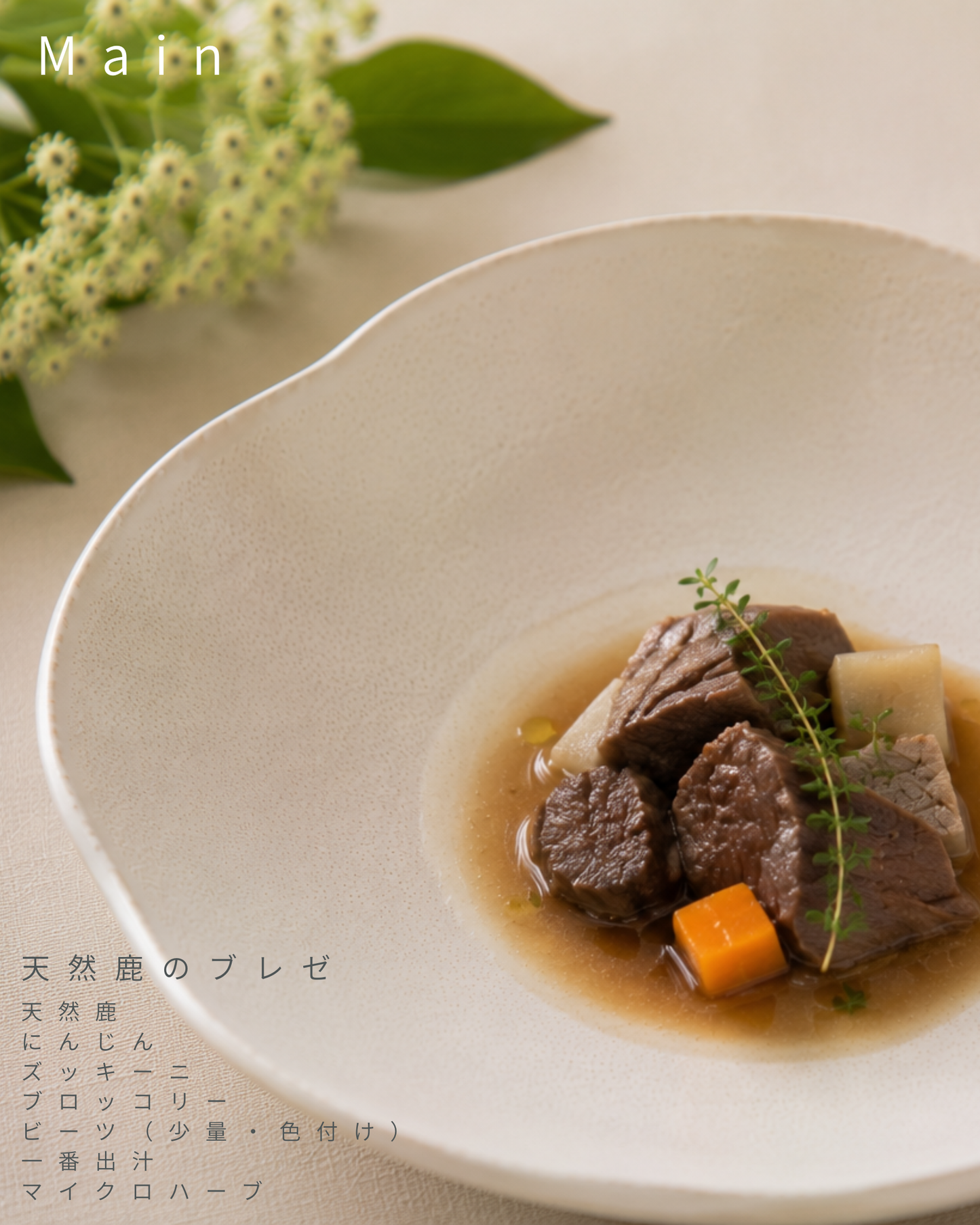 【東京都中目黒】8/8（土）～8/9（日）開催｜Maison HARENOHI TOKYO by CUUN｜愛犬のためのLIVE KITCHEN