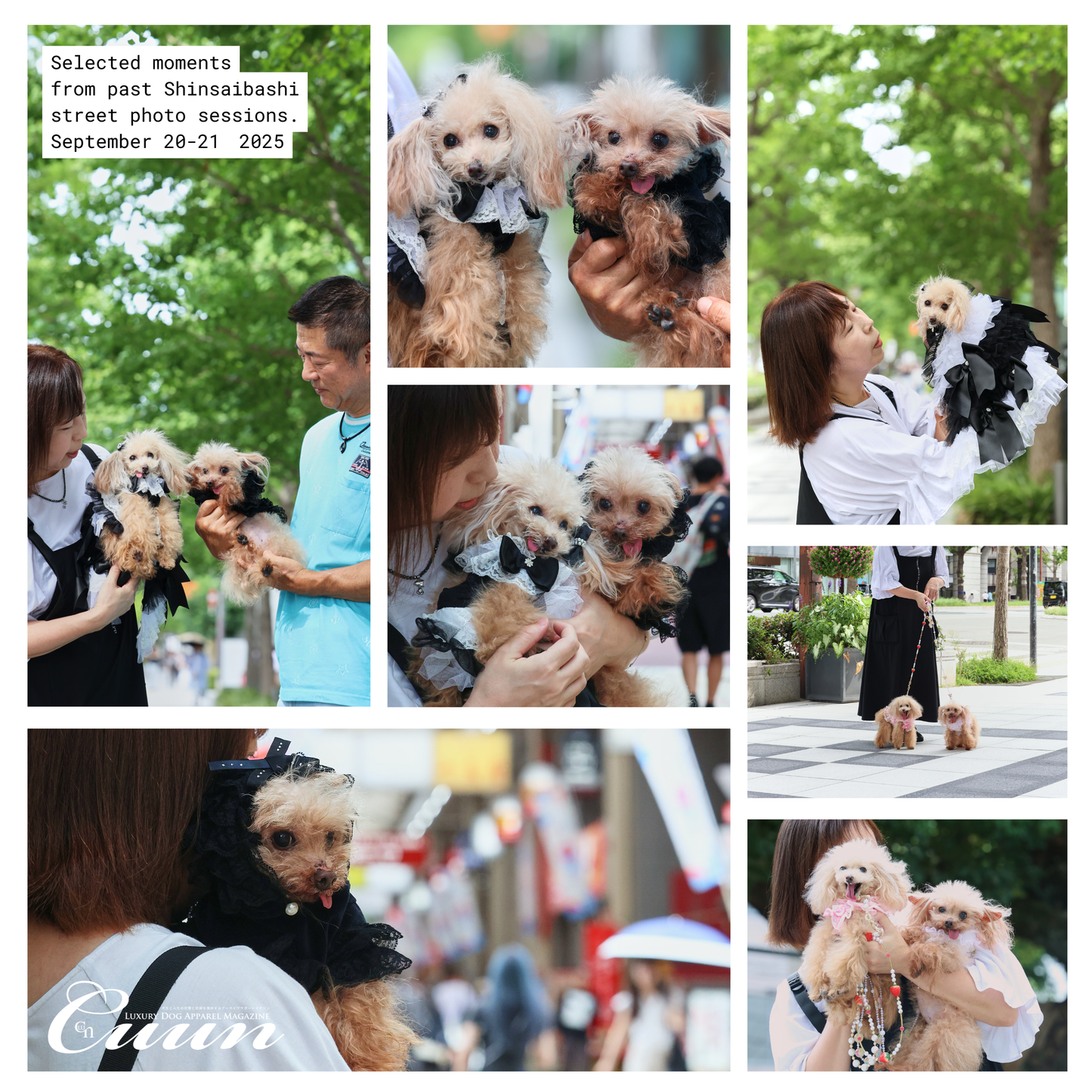【2026年1月31日–2月1日】ザ・お写ん歩。大阪・空堀商店街編｜愛犬と歩くCUUNフォトセッション