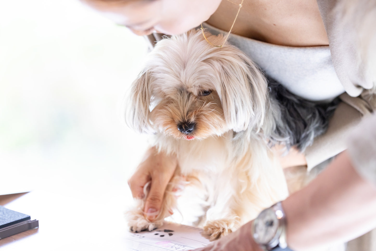 【2025年9月21日開催｜愛知・岡崎】愛犬家族宣誓式｜うちの子と“家族になる日”