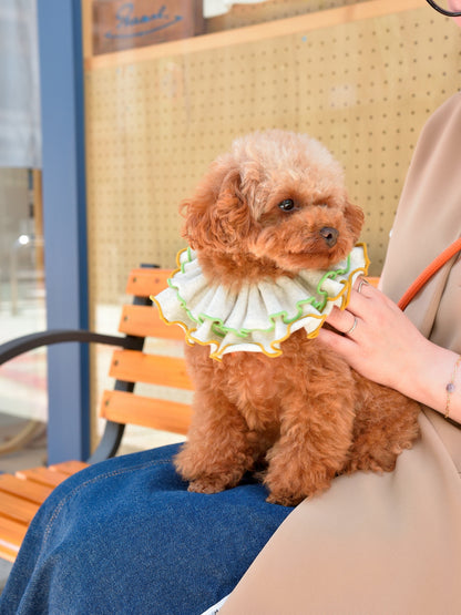 愛犬と仙台ストリートで撮影｜URBAN DOG CULTUREフォトセッション【CUUN掲載特典付き】